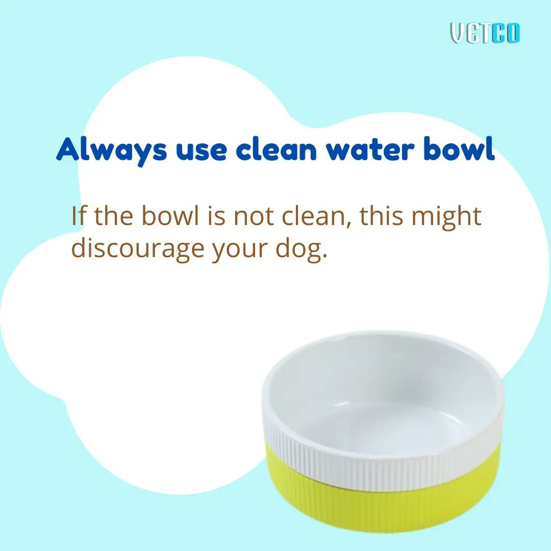 getvetco's tweet photo. Ways to get a dog to drink more water
.
#에이티즈 #dogecoin #doggy #Dog #DogsofTwittter #water #rain #YOONA #getvetco https://t.co/5u182Vyc3e