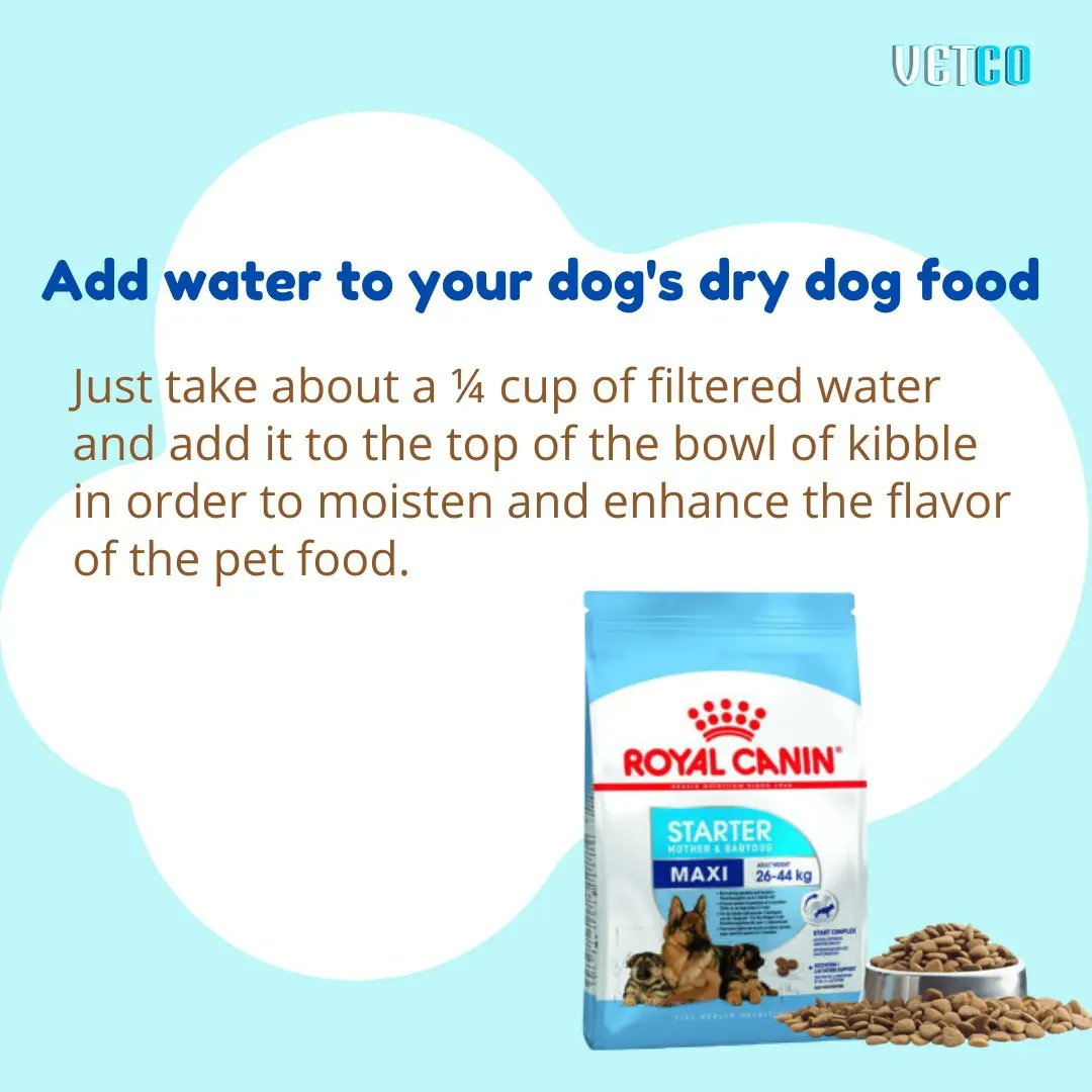 getvetco's tweet photo. Ways to get a dog to drink more water
.
#에이티즈 #dogecoin #doggy #Dog #DogsofTwittter #water #rain #YOONA #getvetco https://t.co/5u182Vyc3e