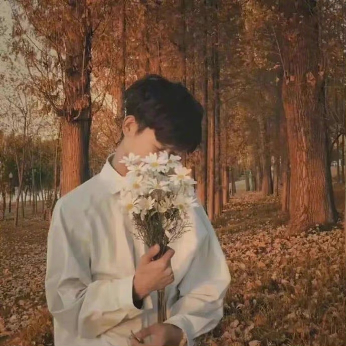 De Moppen (@demoppentweet) on Twitter photo 