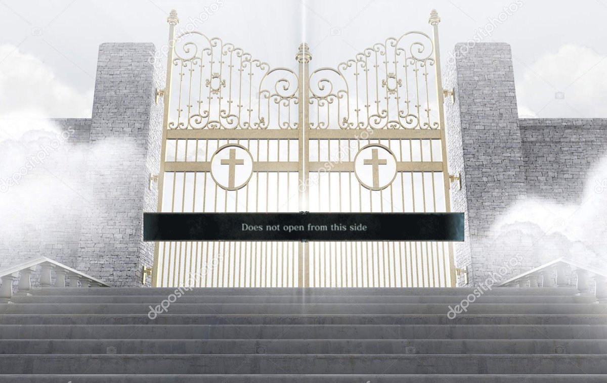 firefunbro's tweet image. 