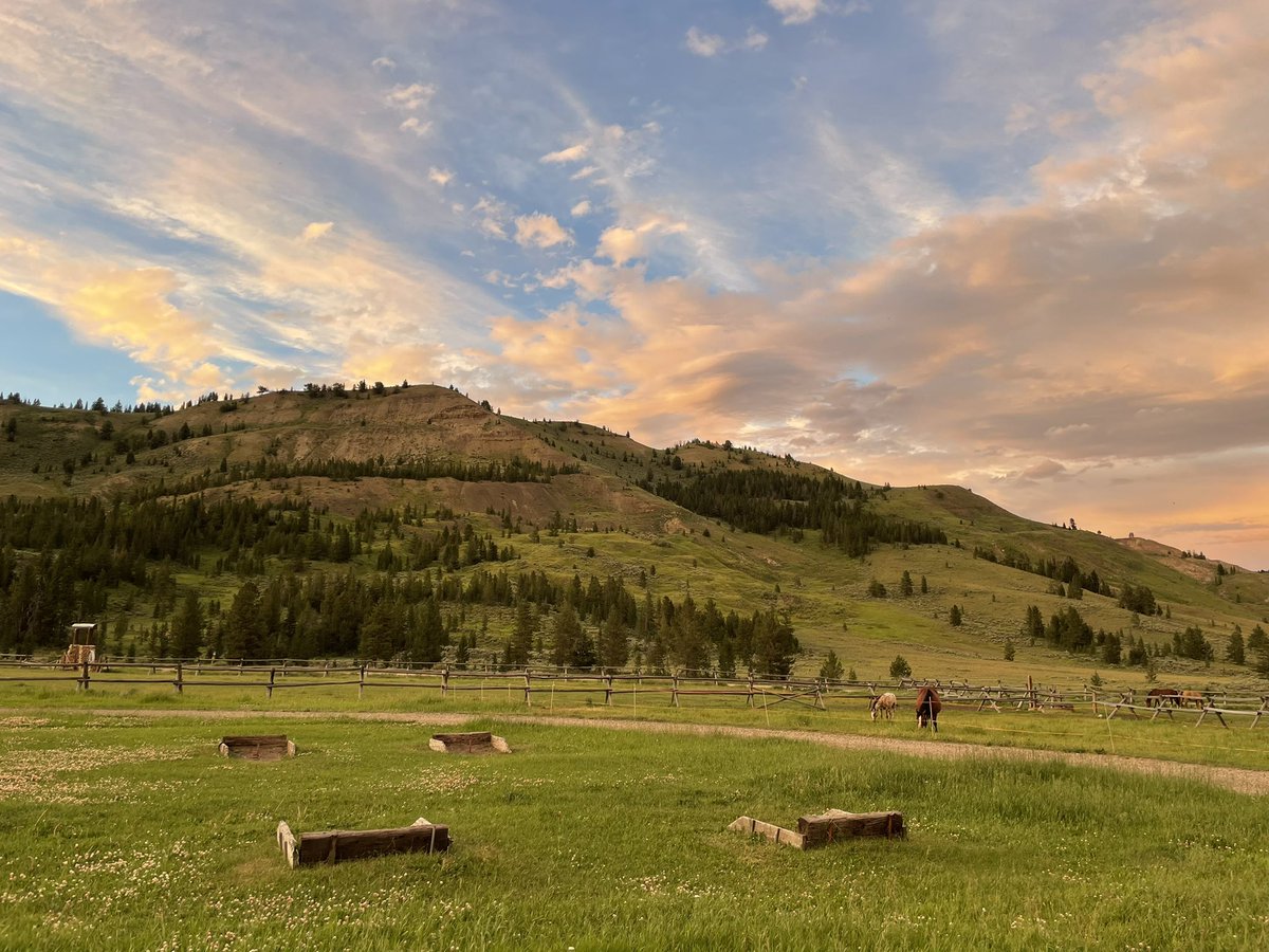 Elizabeth Yin 💛 tweet media