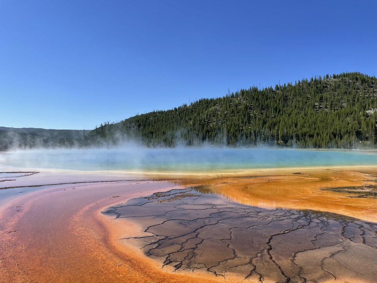 Elizabeth Yin 💛 tweet media