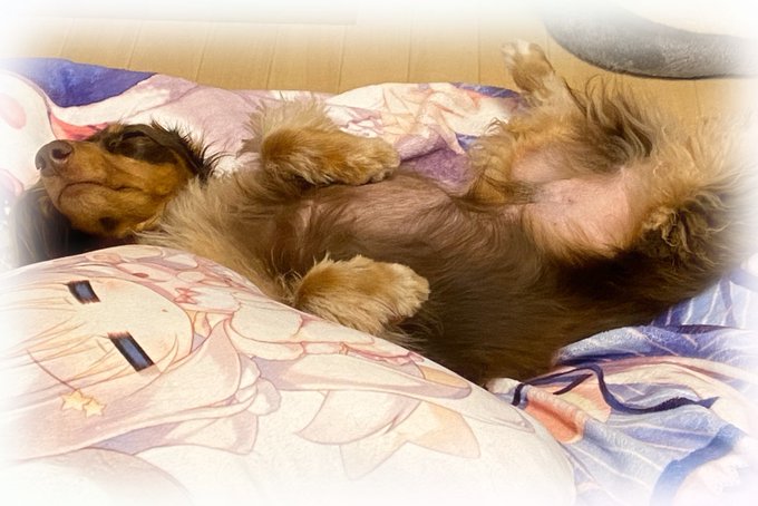 å
æ¥2æ³ã«ãªã£ããã¡ã®åã®å€§èãªãæŒå¯ð¶