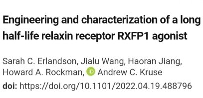 The absence of CL and relaxin increases the risk of PE. So far, recombinant relaxin-2 has a very short half-life, limiting its clinical applications.But protein engineering to improve its serum half-life could make the use of relaxin a reality, when the artif. cycle is mandatory.
