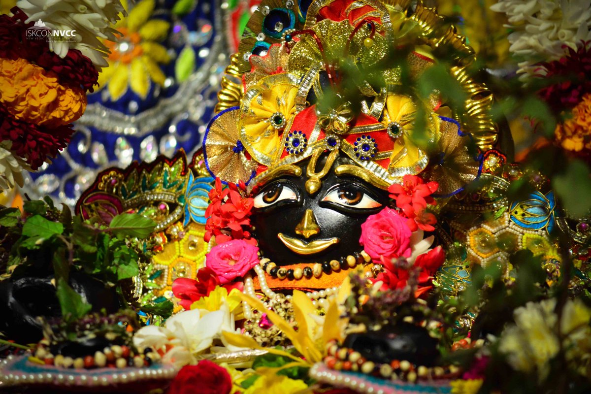 ISKCONPune's tweet photo. Today's 29/07/2022 Darshan of
Sri Sri Jagannath Baldev Subhadra
#ISKCONNVCC #ISKCONPune #ISKCON
#PUNE #DailyDarshan #harekrishna
#Friday #29thjuly #29thjuly2022
#nvcc #radhavrindavanchandra
#iskcondesiretree #ISKCON #harekrsnatv
#harekrsnatelevision #radhakrishna https://t.co/ZBDPaETD1g