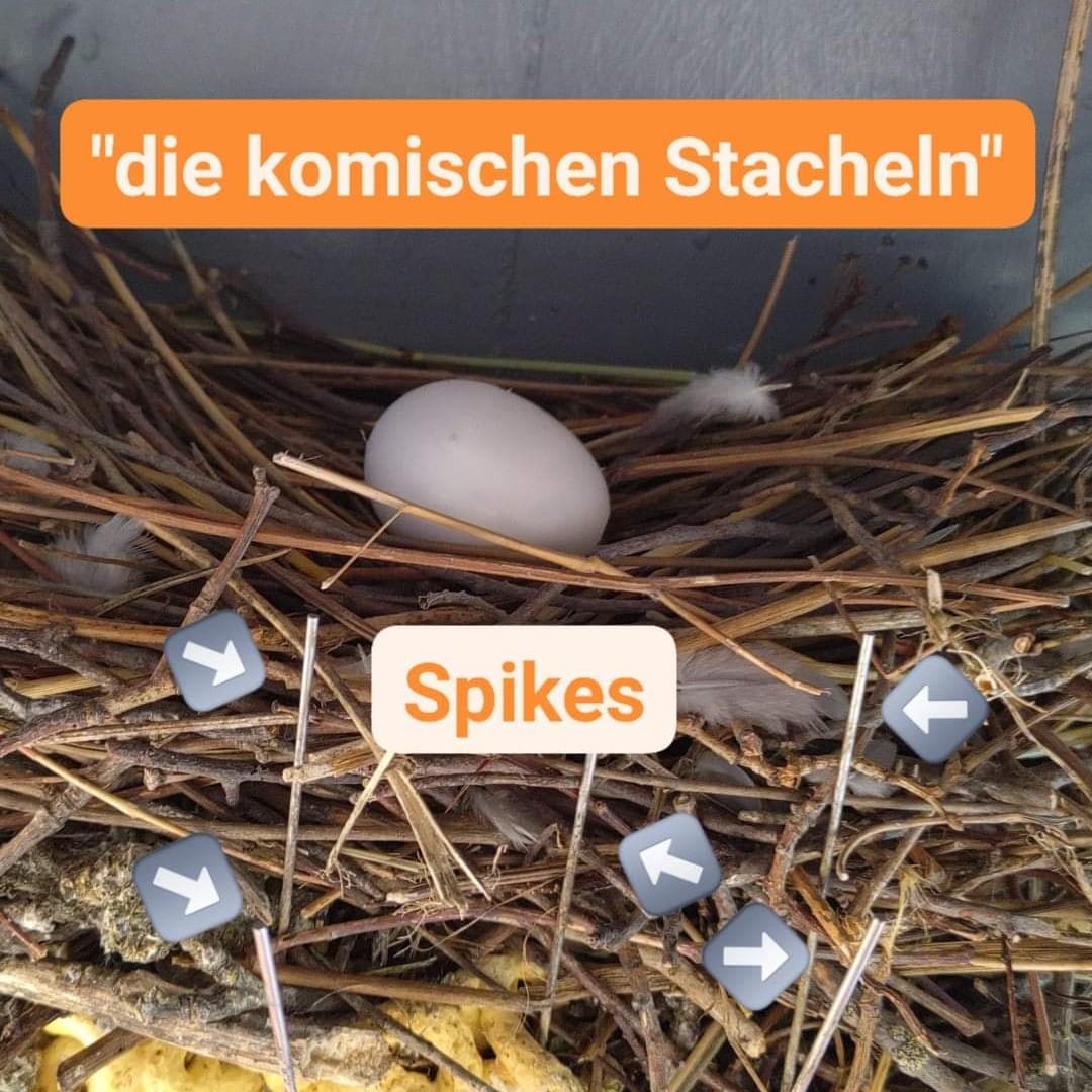 Stadttaubenpro1's tweet photo. Spikes oder auch "die komischen Stacheln"

Spikes gehören zu den am häufigsten angebrachten Vergrämungsmaßnahmen.

Entgegen der oft geteilten Meinung sind sie legal, nur in seltenen Ausnahmefällen kann die Anbringung bemängelt werden. 🧐 https://t.co/lGs9U3iXsx