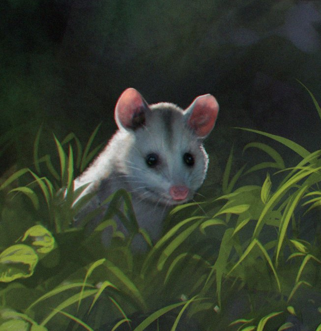𝓟𝖗𝖎𝖓𝖈𝖊𝖘𝖘 𝓐𝖓𝖌𝖊𝖑𝖎𝖘𝖊 𝕽𝖊𝖎𝖙𝖊𝖗 on Twitter "Close up. 🔎 https//t.co