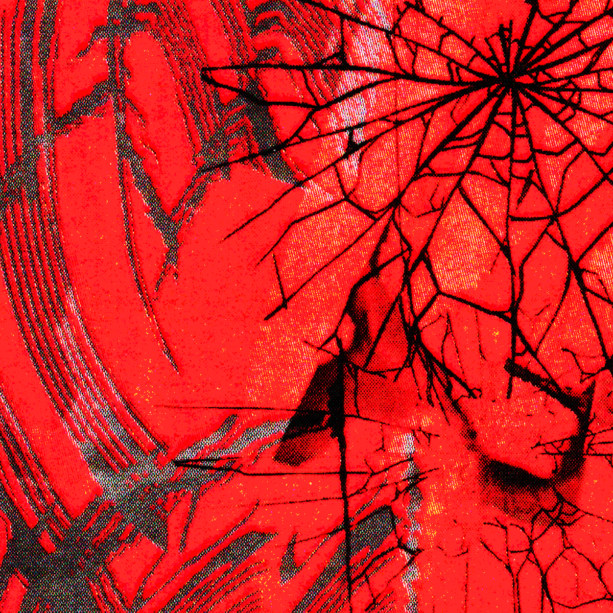 New Motion tweet media