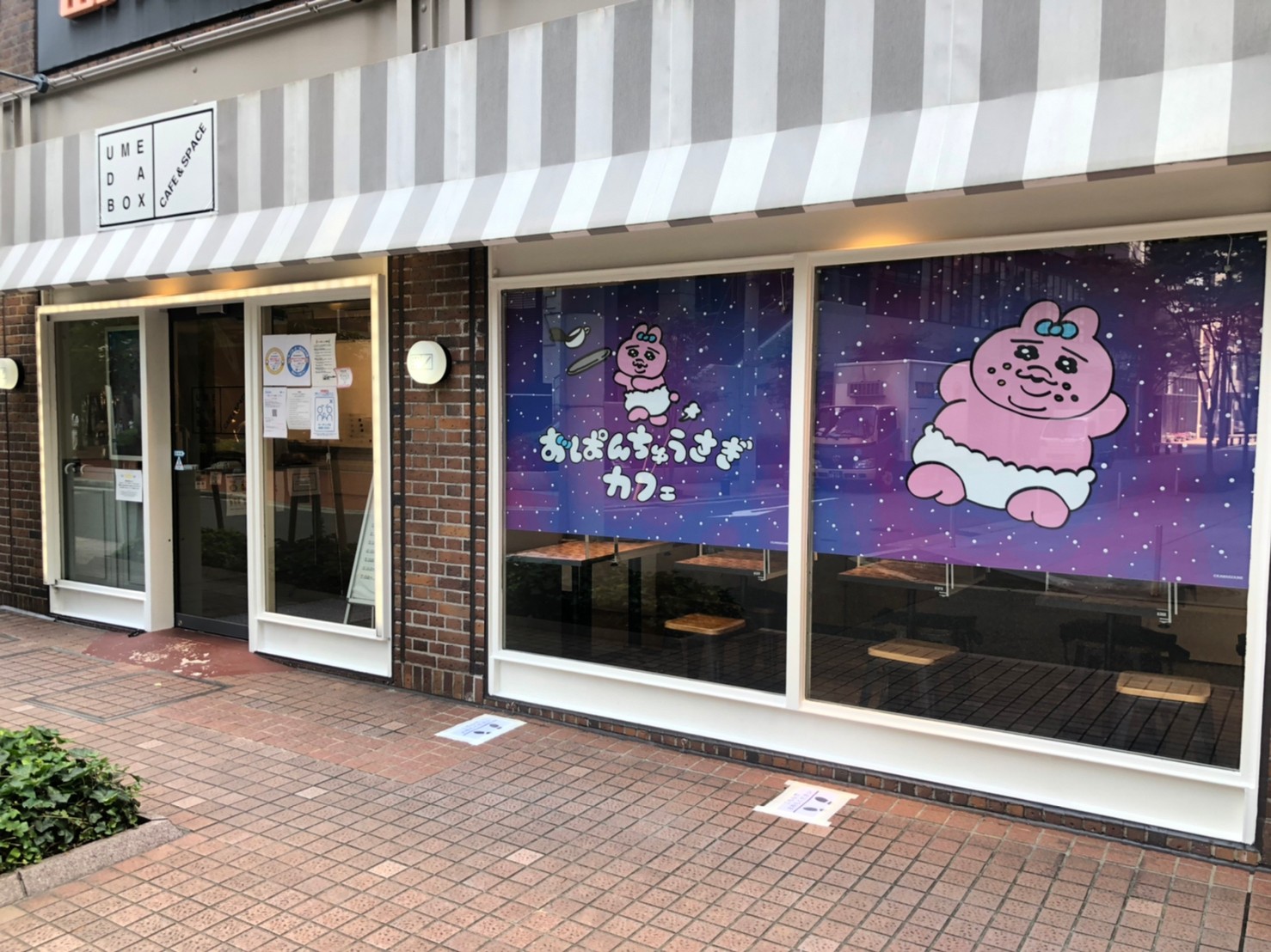 おぱんちゅうさぎカフェ Opanchu Cafe Twitter