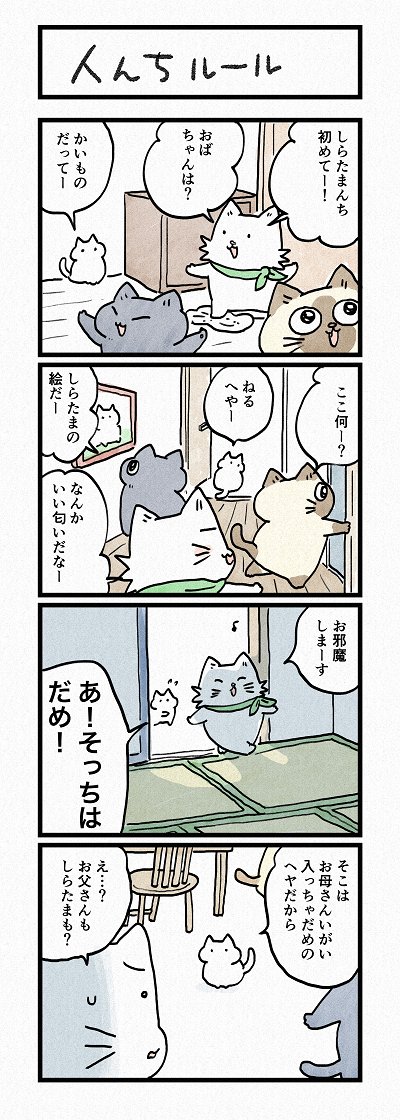 しらたまちゃんのおうちのルールとは?
第177話「人んちルール」はこちらから⇒
(https://t.co/8jBTBHd7Z2)
『猫のおふくちゃん』の最新話は毎週金曜日に連載中! 