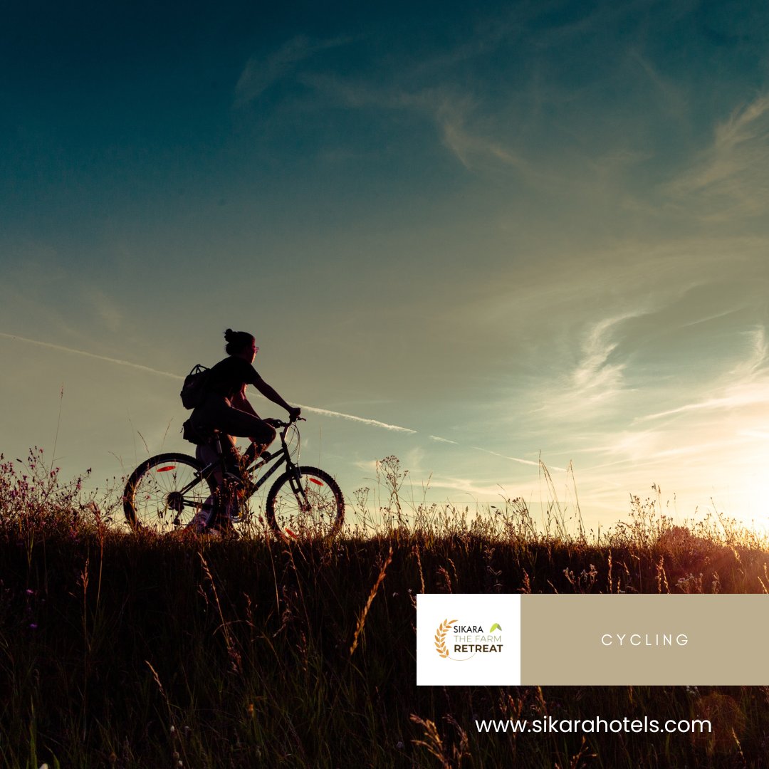 Enjoy the nature while riding on a bicycle here at Sikara The Farm Retreat.

#bicycle #cycleride #foreststay #naturevisit #resort #resortstay #resortsinanaikatti #coimbatore #anaikatti
#weekend #chillout