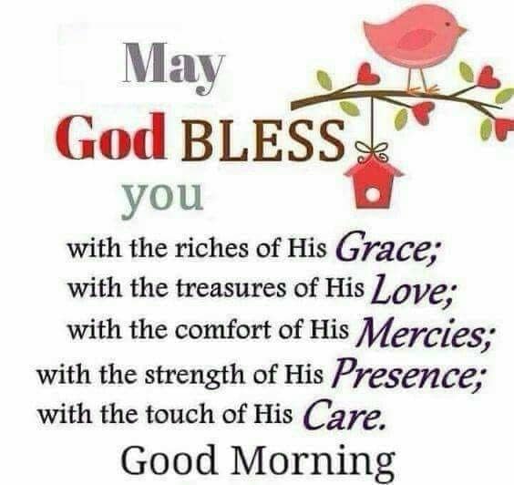May God bless you with the riches of His Grace;
With the treasures of His Love;
With the comfort of His Mercies;
With the strength of His Presence;
With the touch of His Care. ✝️❤️🕊️

❤️ Good Morning!❤️