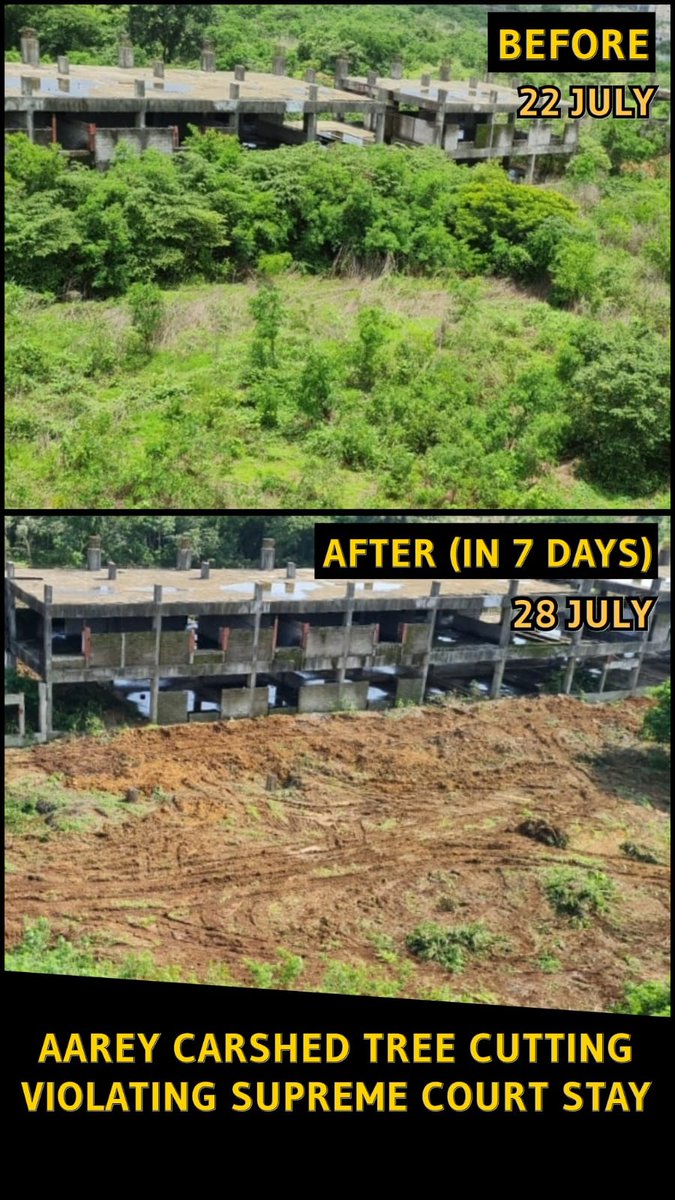 cassynaz's tweet photo. The Aarey Carshed plot.
Before 22July 22 &amp; After.
Clearly shows trees cut in contravention of the Supreme Court Stay order
@barandbench 
@LiveLawIndia @vrindagrover @pbhushan1 @Jairam_Ramesh @ShashiTharoor @deespeak @ReallySwara 
#MegaLandScam https://t.co/UuiKUE93KS
