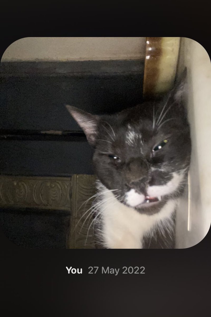 10eeo_'s tweet photo. هتلر🐈‍⬛ https://t.co/Qv1IVuERi8