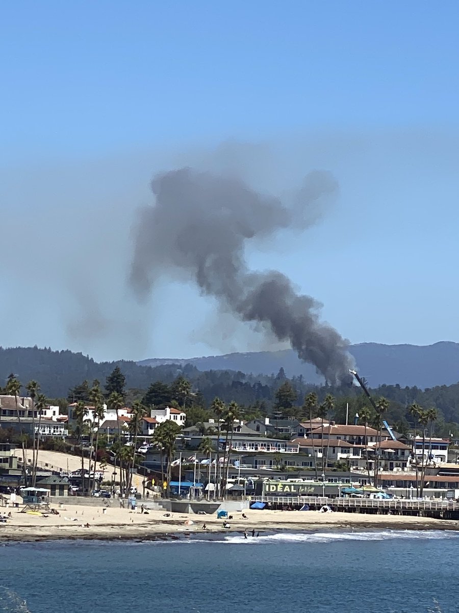 Native Santa Cruz tweet media