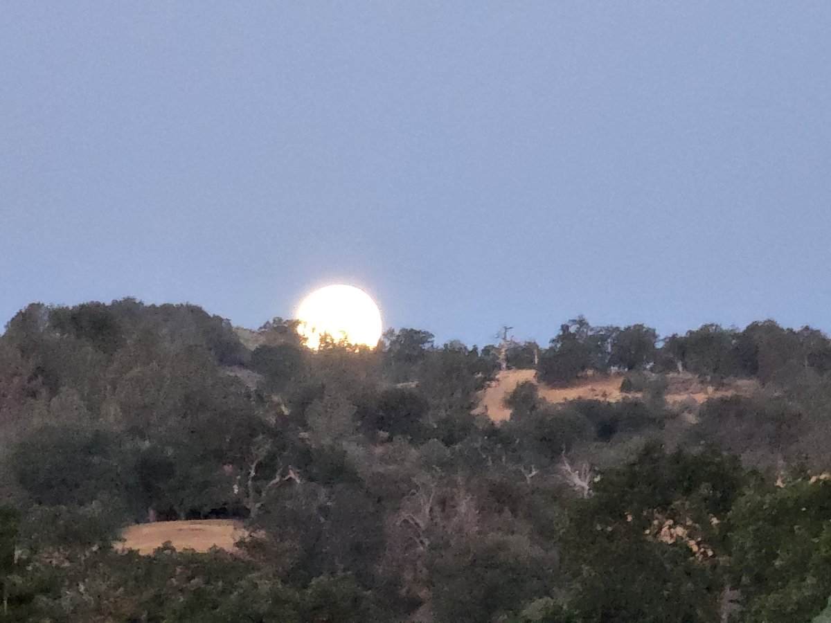 Tracy Scott Kelly tweet media