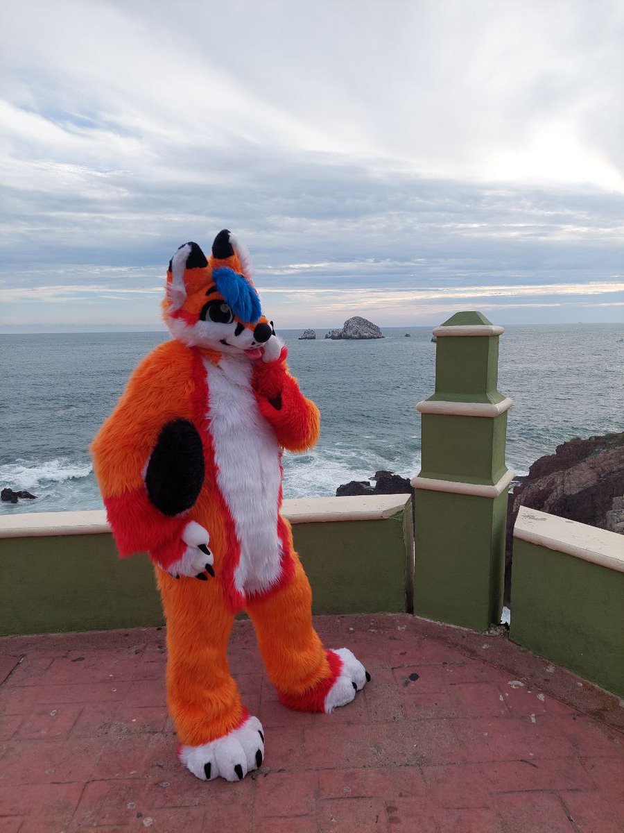 FerfoxPluff's tweet photo. Mas fotitos que tome!! Rawrr give me pets please ๐พ I am a good fox ๐
#FursuitFriday #Ferfox #Fursuiting https://t.co/Mi3Y4LQ4cw