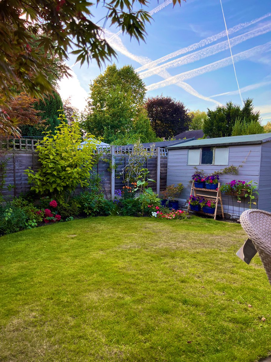 Emblyn3's tweet image. Pre #caturday treaties for all furriends that can find me 😽😽😽 #CatsOfTwitter