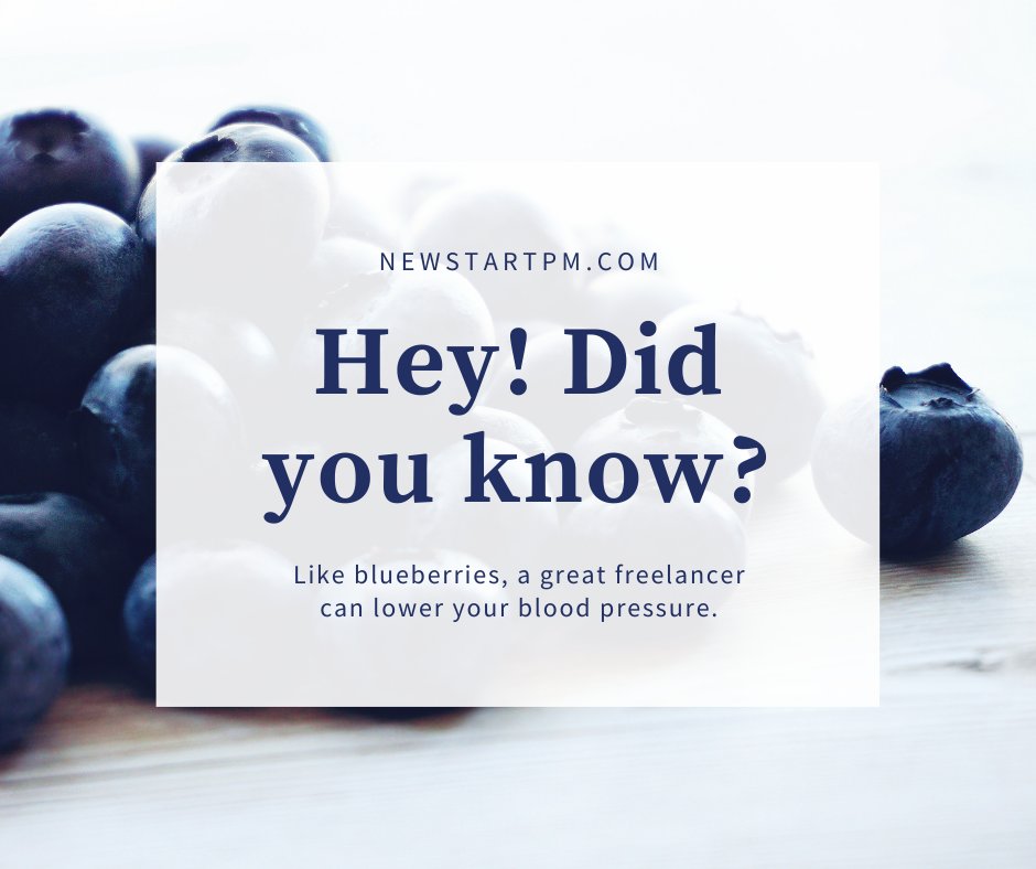 Contact New Start PM to get started - bit.ly/3jxoApZ

#freelance #consultant  #entrepreneur #smallbusiness #solopreneur #startup #businessgrowth #youneedapm #nspm #newstartpm