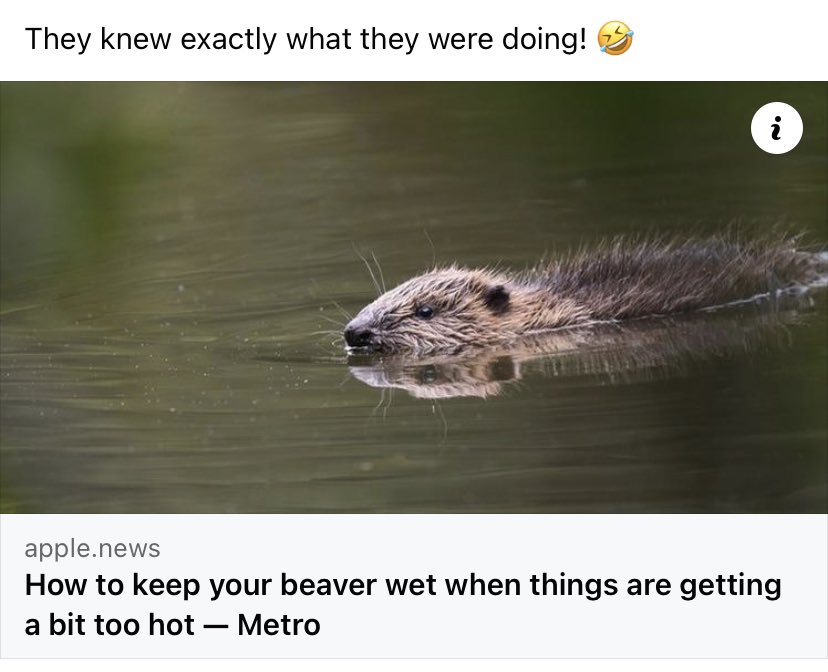 Lana Taylor (@lanamaytaylor) on Twitter photo 