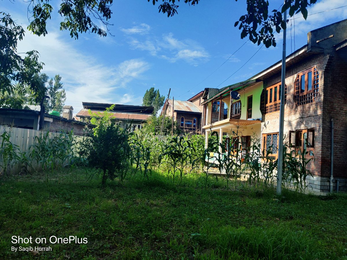 HurSaqib's tweet photo. #Safapora #Mansbal 🥰🥰 https://t.co/Ny9LuiQCEB
