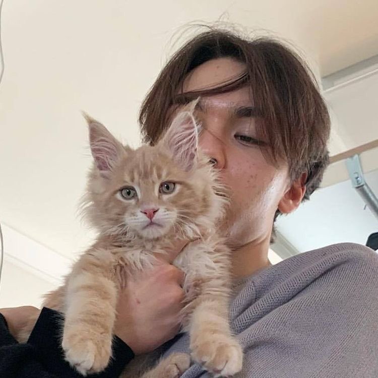 addtogyu's tweet photo. @gyumicart cat nonie https://t.co/ZrfyDqxyjX