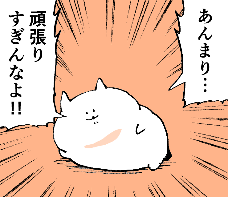 #力強いメッセージを携えたねこ 