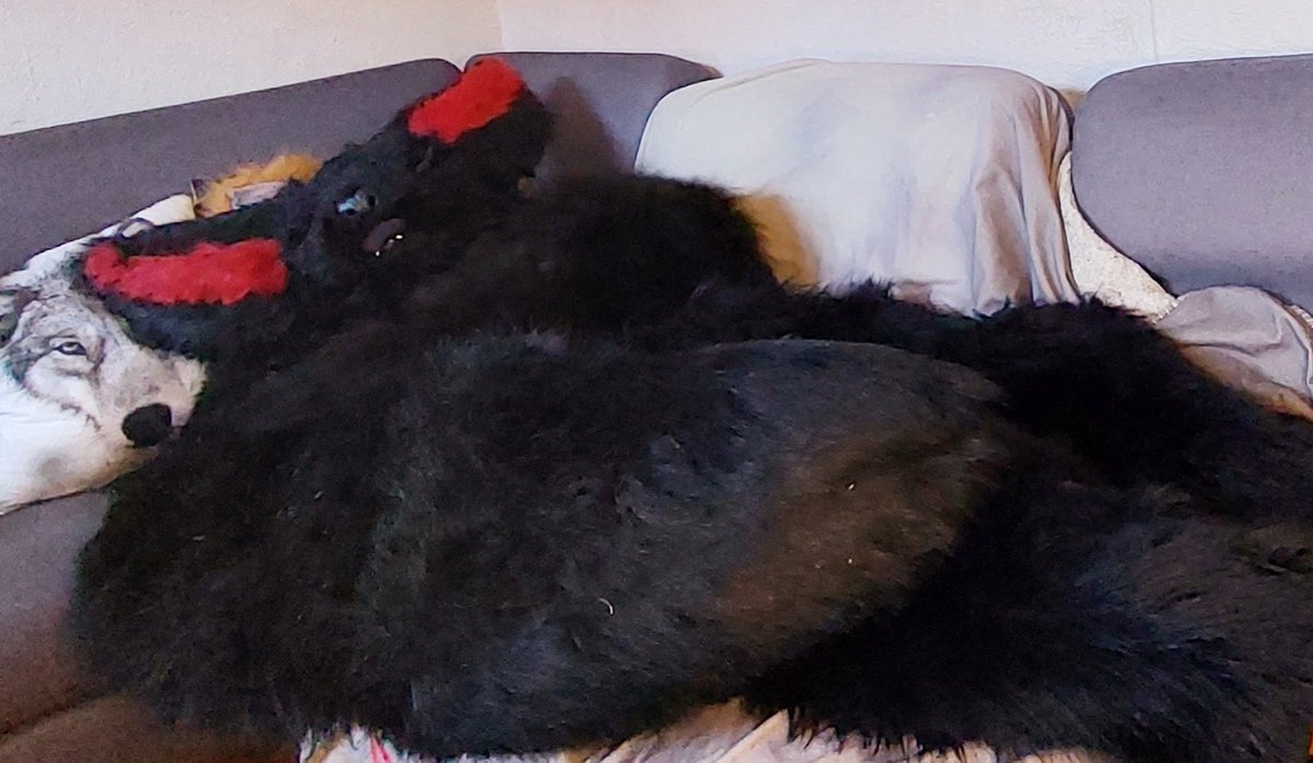 MercilessFursui's tweet photo. #FursuitsFriday 

 Wake me up when something good happens..

#fursuit #furry https://t.co/I43zJ3v9F8