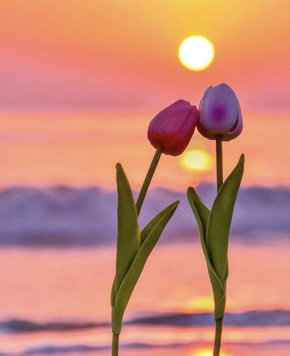 Goodbyes are only for those who love with their eyes.
Because for those who love with heart and soul
There is no such thing as separation.

Rumi
📸 sumisumi9014...