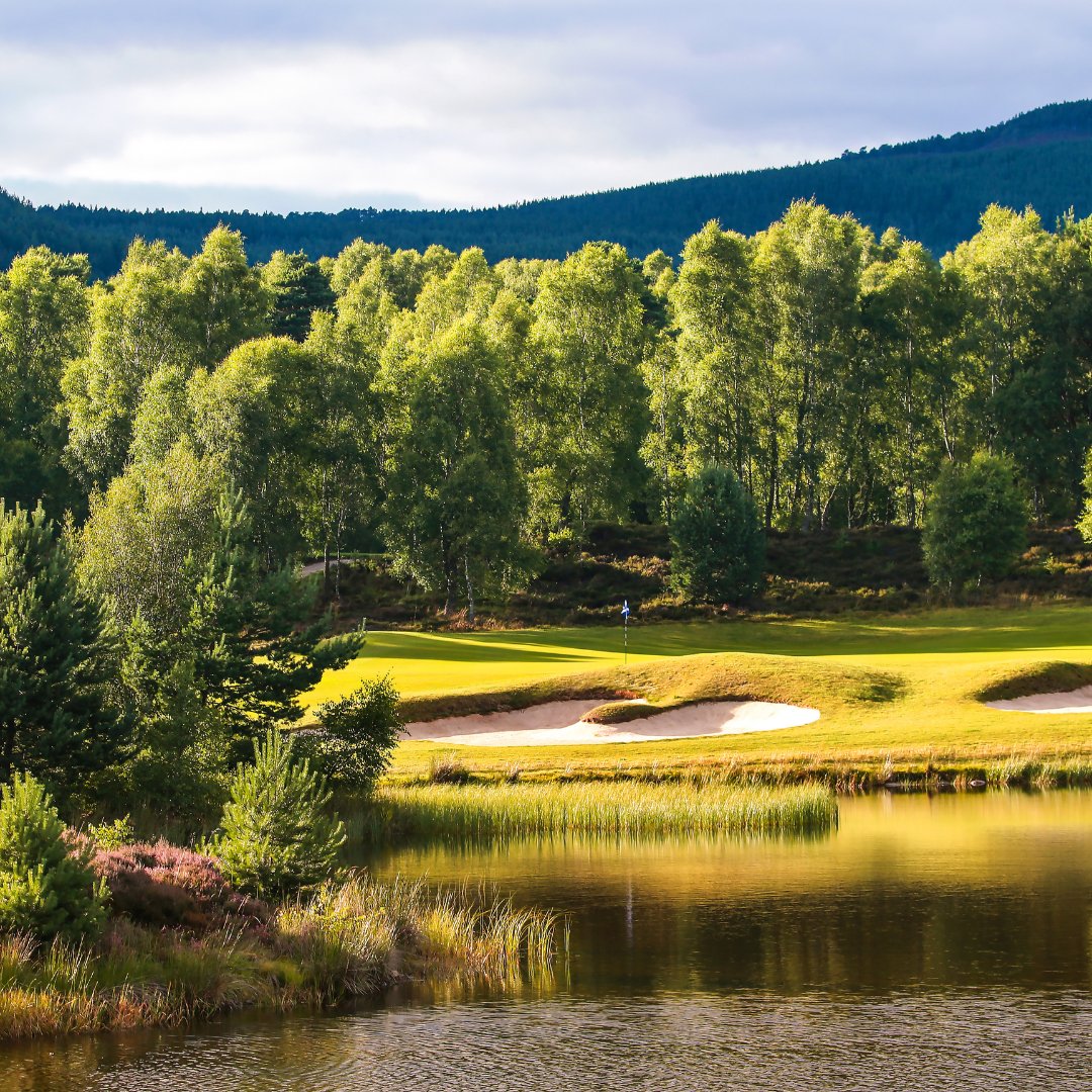 Bring your “A” game and make the most of the glorious sunshine.

Book a round of golf at one of our Championship courses and enjoy our beautifully designed greens, perfect for players new to the game as well as the seasoned.

Book here: bit.ly/3QjqdYg