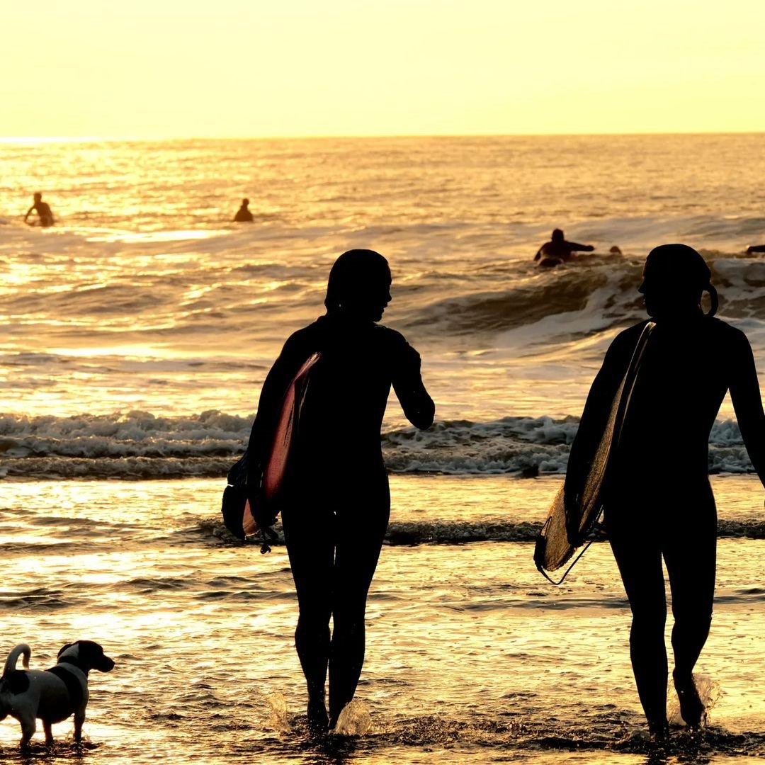 If you think about Rotterdam, you probably won't think about sun, sea and sand. Well, think again! 🏖️🩴🐚

Metro B brings you in no time to Hoek van Holland. Take a swim in the North Sea or enjoy yourself with beach and water activities such as surfing. 🏄🏾🩱💦🏊

📸 @sandermekk