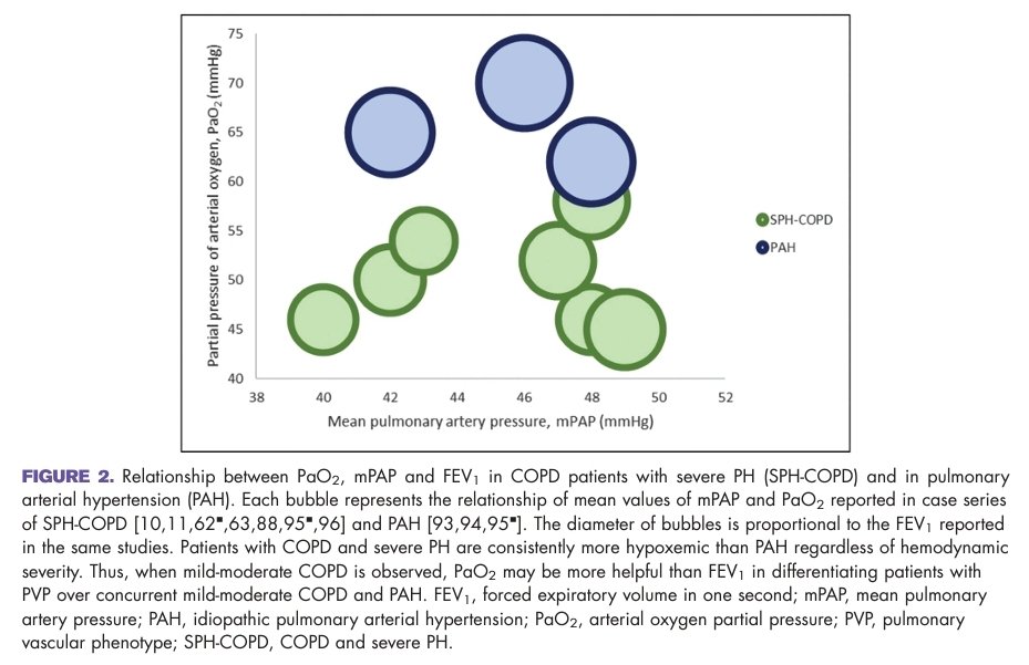 🚨New #review: Emerging #phenotypes of #PulmonaryHypertension in #COPD 🌐tinyurl.com/mvmwcncz Featuring: 🎯 5 phenotypes of COPD-PH, including the forgotten 'Severe COPD-Severe PH' 🫁 How hypoxemia may be better than FEV1 to discern 'pulmonary vascular phenotype' & #PAH+COPD