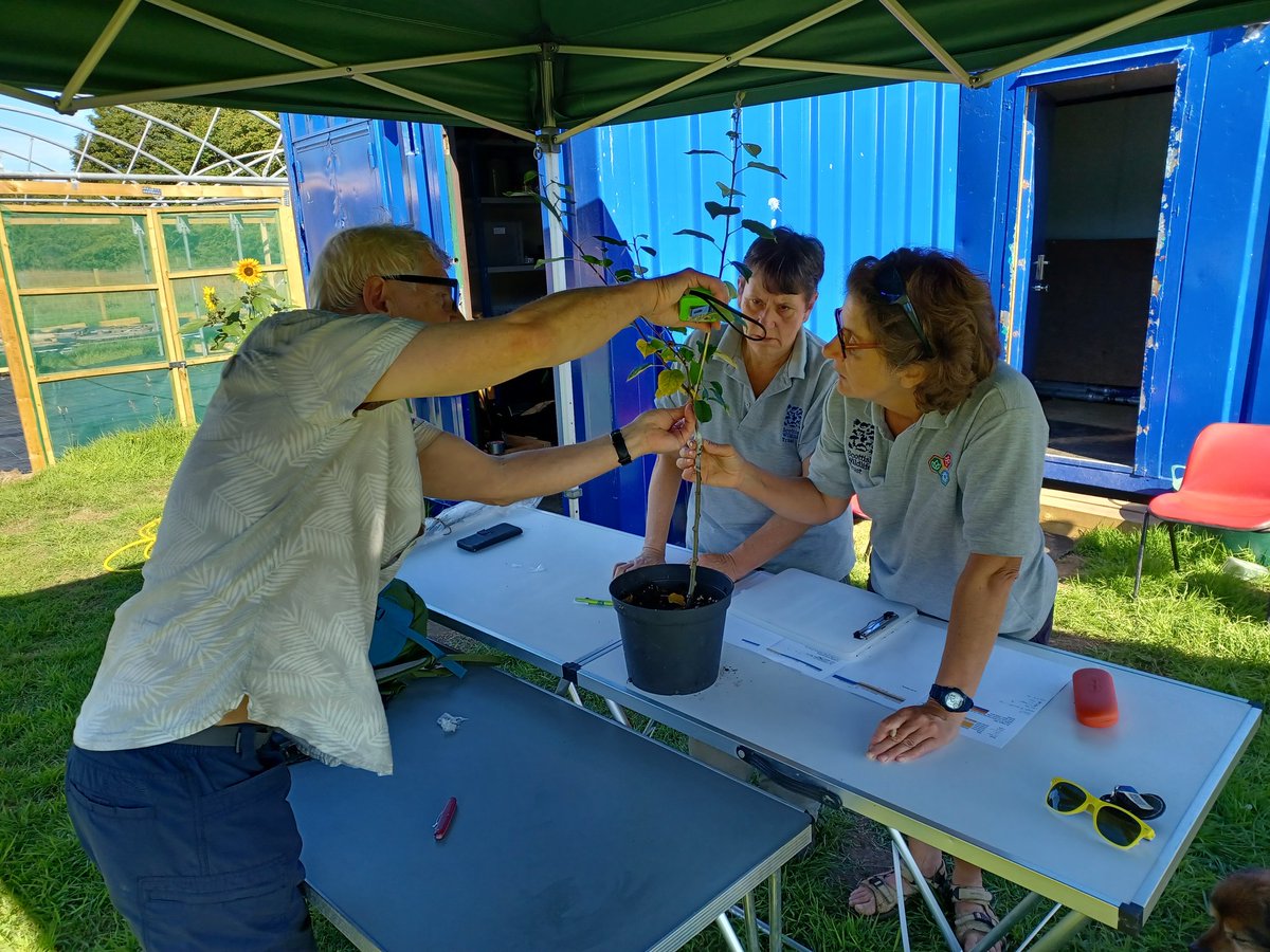 EadhaAspen's tweet photo. Interesting day @EglintonPark with first an apple grafting workshop @Nectar_Network @ScotWildlife using some of my Bute scions then some hedge maintenance and tree nursery work @HPE #findingshade https://t.co/HnENVIo4I0