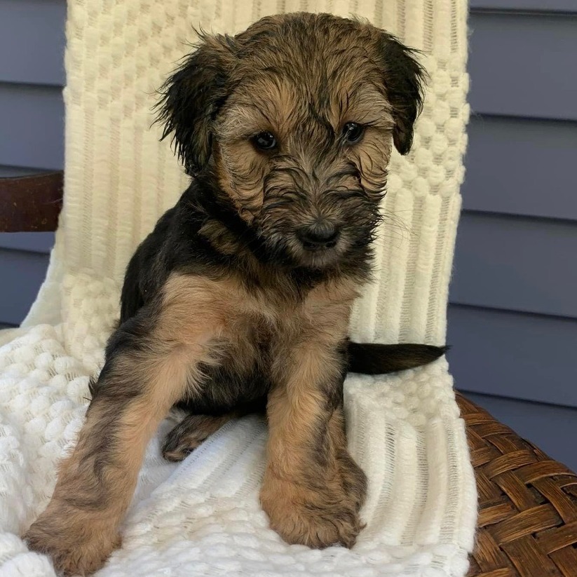 NewEnglandConstruction tweet media