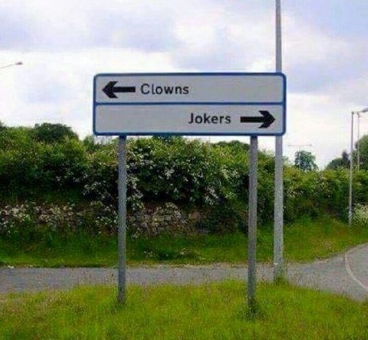 🌈KimInFL🌴 tweet media