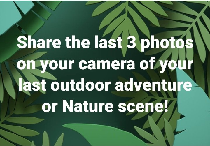 kenny_peavy's tweet photo. Show us what you've been exploring and learning outdoors!

#SDGs #environed #GlobalGoals #bitesizesdgs https://t.co/8D1xK4Naat