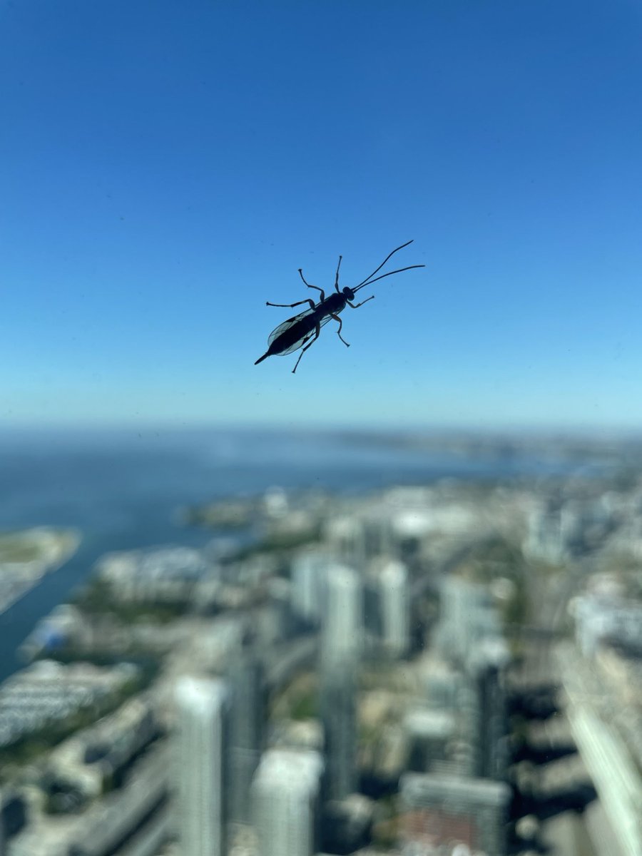 Erica Payne tweet media