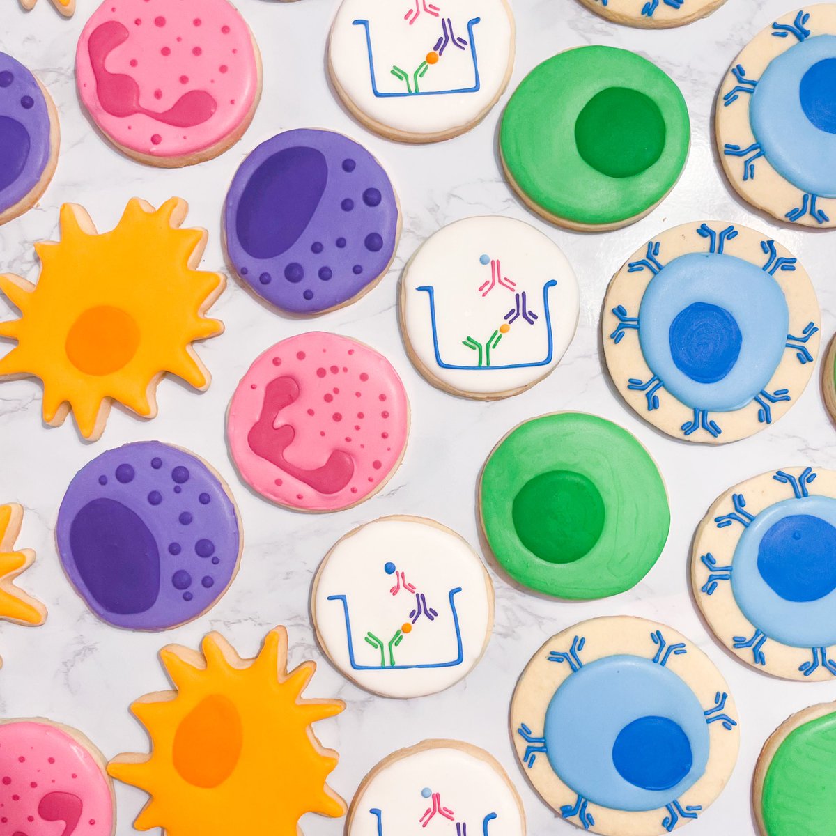 Emily_YF_Feng's tweet photo. Baked some fun #immunology themed cookies for my fellow @MacImmunology members! Can you spot your favourite immune cell? @PhDVoice #AcademicTwitter #ScienceTwitter https://t.co/k9fVAocuCG