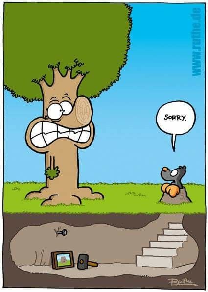 StillmansTree's tweet image. Happy Friday!