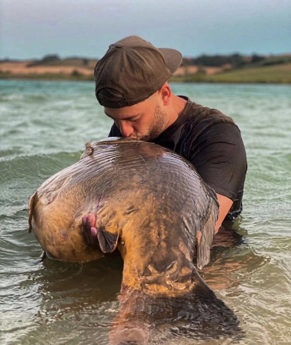FISHINGbibleHQ's tweet photo. “When dreams come true!!” 

Taking a look back at this absolute BEAST of a mirror caught by that man Steven Kuznia… 👊🏻💯🎣

Just look at the belly on it!! 🔥🔥

📸 insta : steven_kuznia 📸 

@BigCarpBuzz 
#CarpFishing #BigCarpBuzz https://t.co/nRSUrILzoH