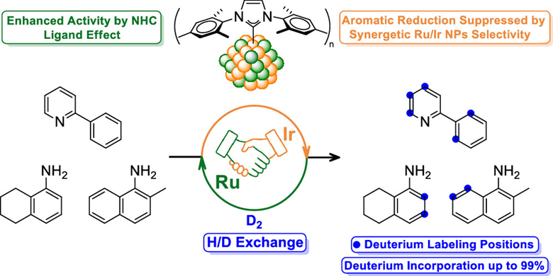 A synergetic effect has been found in NHC-based Ru/Ir NPs for H/D Exchange by <a href="/ChaudretB/">Chaudret Bruno</a> (<a href="/LPCNO_/">Laboratoire de Physique et Chimie des Nano-Objets</a>), Baquero (ESCA group <a href="/QuimicaUN/">Departamento de Química - Universidad Nacional</a>), et al. Part of our upcoming Special Issue “Organometallic Chemistry Inspired by Maurice Brookhart.” Please have a look: pubs.acs.org/doi/10.1021/ac…