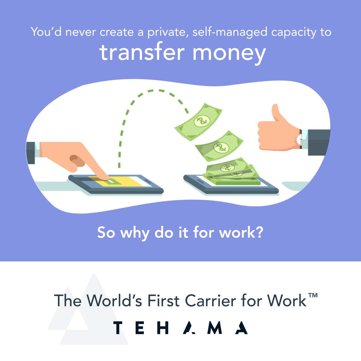 You’d never create a private, self-managed capacity to transfer money. 💸 So why do it for work?

As the world’s first Carrier for Work™, Tehama eliminates the risk, complexity and inefficiency common in today’s custom deployments. Discover Tehama: hubs.li/Q01hnFBW0