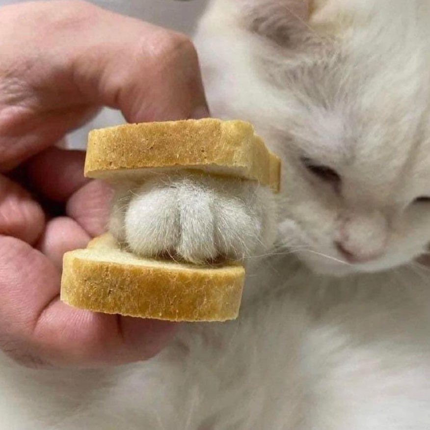 멘보샤 먹을 사람