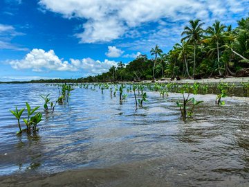 “My elders taught me to always think of others & not only about me. They taught me to take care of the marine environment for the sake of those who depend on it”- Senimili. In #Fiji, youth are fighting for a sustainable future, learning from their elders. ow.ly/YbO550Kh0S0