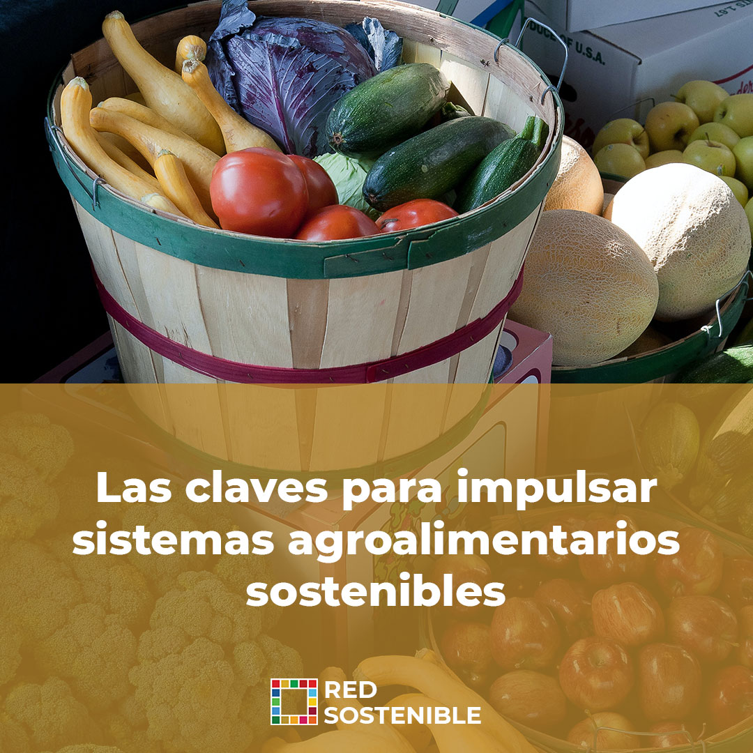 redsostenibleok's tweet photo. Uno de los grandes desafíos de nuestra época es poder desarrollar sistemas agroalimentarios que, lejos de destruir el medioambiente, promuevan un entorno saludable para las personas y los ecosistemas.

📌 Puedes leer el artículo completo en https://t.co/HeOdGEJ0DL https://t.co/WRq1GoHcb3