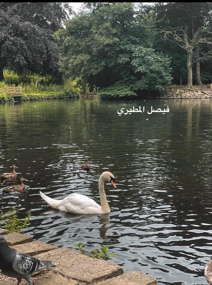 target2e's tweet photo. اسم الطالب : فيصل المطيري
صوتك لهذا المشارك برتويت 🔁
#تحدي_تارقت
#target2e https://t.co/A5xiGPsWhg