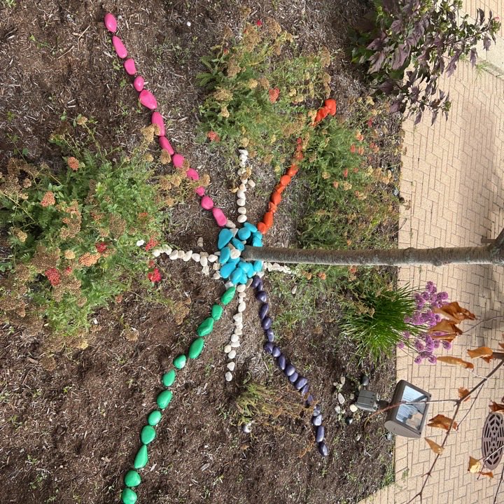 Alyssa Albertini tweet media