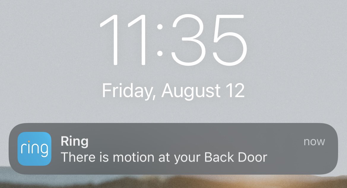 Stephanie tweet media