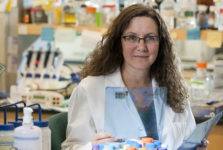 Weill Cornell Medicine Pathology tweet media