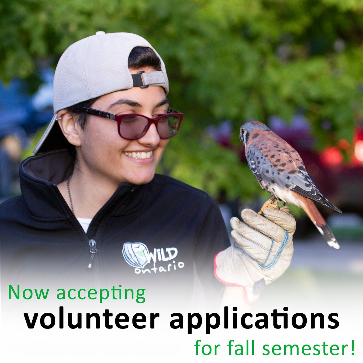 Calling all <a href="/uofg/">University of Guelph</a> students!

We are now accepting volunteer applications! 

We are looking for students who love science, nature, and environmental education.

Check out our volunteer page (wildontario.ca/volunteer) for more details!

Applications are due 5pm Sept 11th!